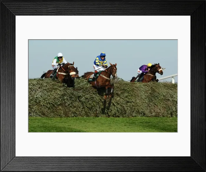 Framed Print : 2011 Grand National Framed Print : 2011 Grand National