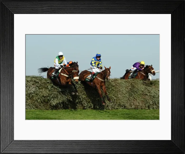 Framed Print : 2011 Grand National