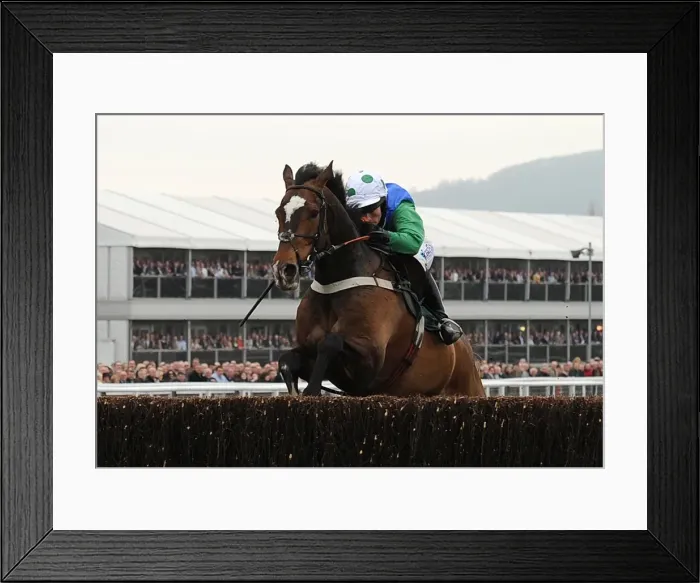 Framed Print : Katie Walsh on the way to winning the 2010 National Hunt Chase Challenge Cup at Cheltenham Framed Print : Katie Walsh on the way to winning the 2010 National Hunt Chase Challenge Cup at Cheltenham