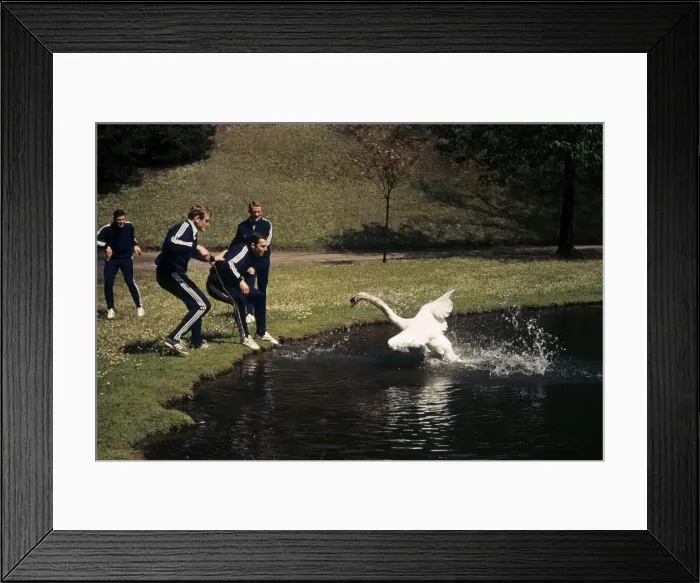 Framed Print : Bayern Munich players are attacked by an angry Swan before the 1967 Cup Winners Cup semi-final + Framed Print : Bayern Munich players are attacked by an angry Swan before the 1967 Cup Winners Cup semi-final +