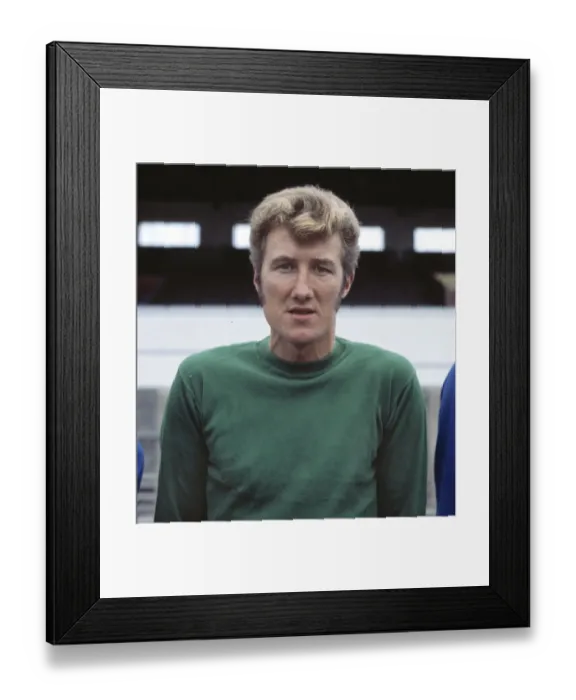 Framed Print : Fred Davies - Cardiff City Framed Print : Fred Davies - Cardiff City