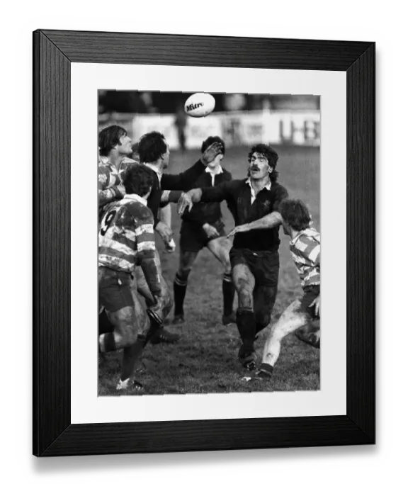 Framed Print : Ken Moss - Wasps Framed Print : Ken Moss - Wasps