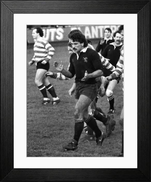 Framed Print : Ken Moss - Wasps Framed Print : Ken Moss - Wasps