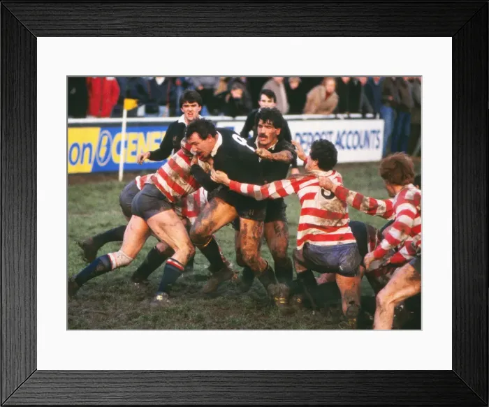 Framed Print : Ken Moss - Wasps Framed Print : Ken Moss - Wasps