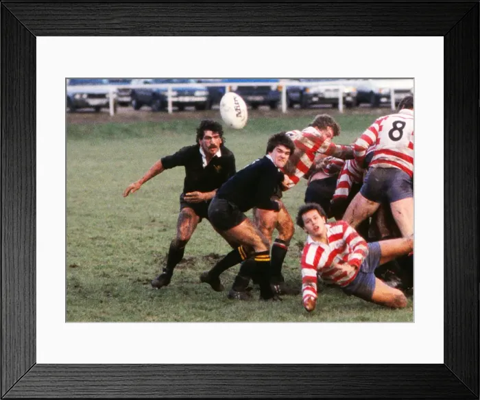 Framed Print : Ken Moss - Wasps Framed Print : Ken Moss - Wasps