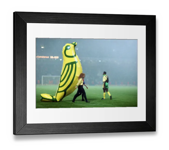 Framed Print : Norwich Citys giant inflatable Canary is paraded around the Carrow Road pitch before their victory over Bayern Munich