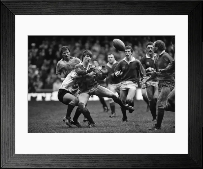 Framed Print : John Devereux - British Lions Framed Print : John Devereux - British Lions