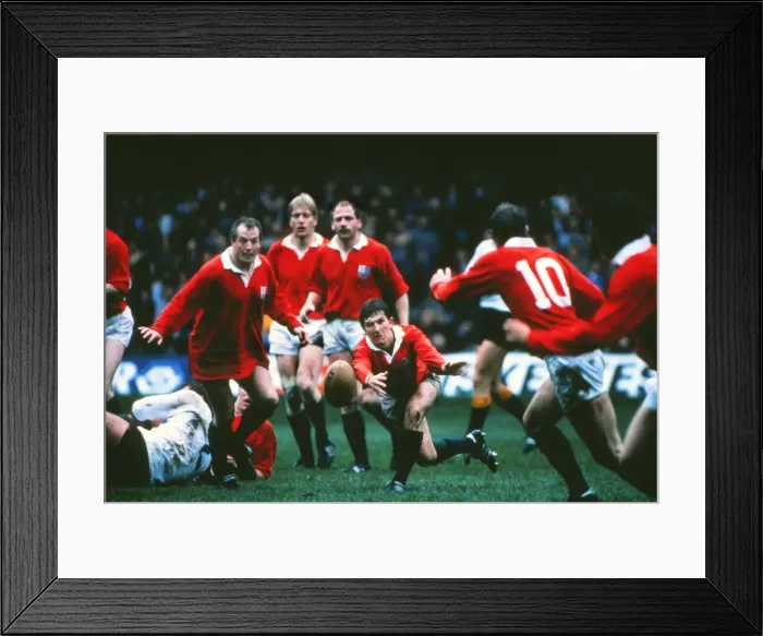 Framed Print : Robert Jones - British Lions Framed Print : Robert Jones - British Lions