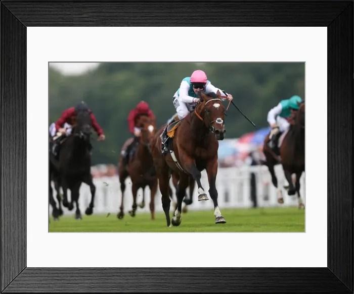 Framed Print : Frankel on the way to winning the Queen Anne Stakes Framed Print : Frankel on the way to winning the Queen Anne Stakes