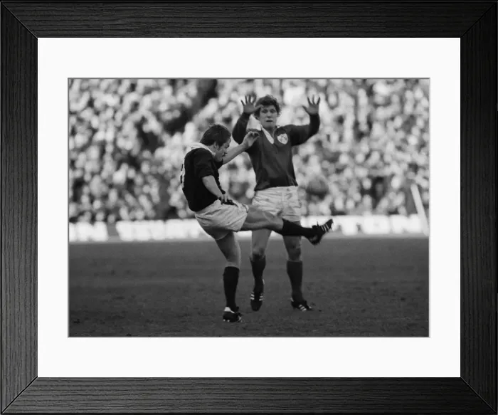 Framed Print : Scotlands Alan Lawson and Irelands Fergus Slattery - 1979 Five Nations Framed Print : Scotlands Alan Lawson and Irelands Fergus Slattery - 1979 Five Nations