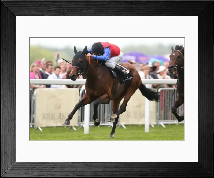 Framed Print : Royal Ascot: Ladies Day Framed Print : Royal Ascot: Ladies Day