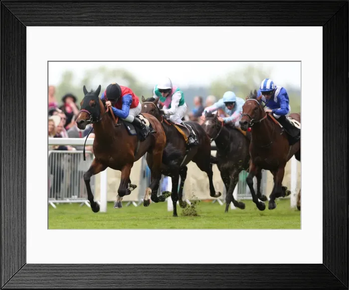 Framed Print : Royal Ascot: Ladies Day Framed Print : Royal Ascot: Ladies Day