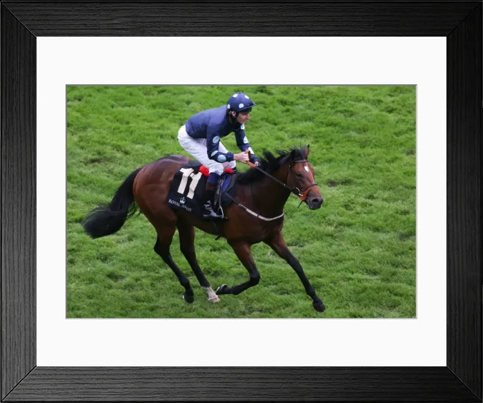 Framed Print : Royal Ascot: Ladies Day Framed Print : Royal Ascot: Ladies Day
