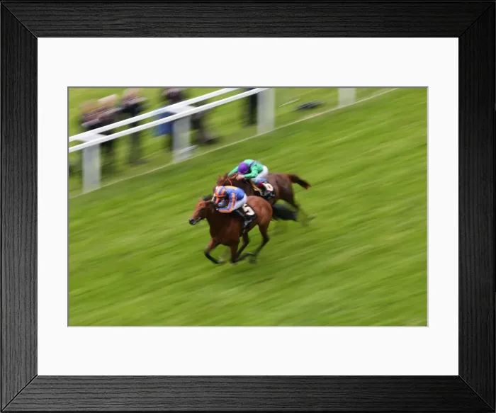 Framed Print : Royal Ascot: Ladies Day Framed Print : Royal Ascot: Ladies Day