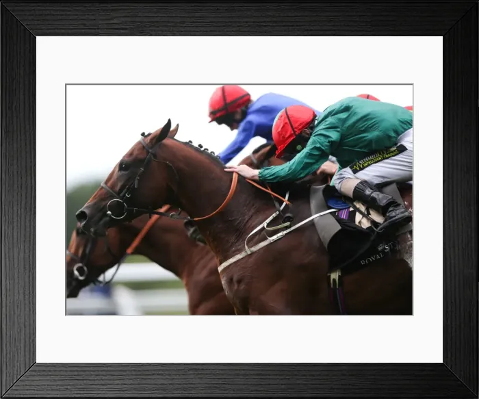 Framed Print : Royal Ascot: Ladies Day Framed Print : Royal Ascot: Ladies Day