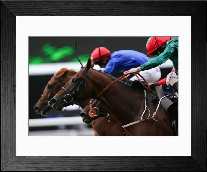 Framed Print : Royal Ascot: Ladies Day Framed Print : Royal Ascot: Ladies Day