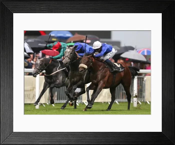 Framed Print : Royal Ascot: Ladies Day Framed Print : Royal Ascot: Ladies Day