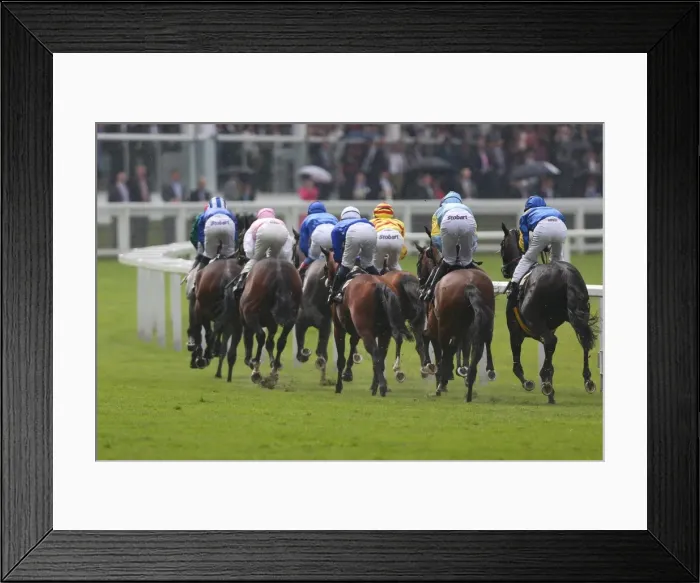 Framed Print : Royal Ascot: Ladies Day Framed Print : Royal Ascot: Ladies Day