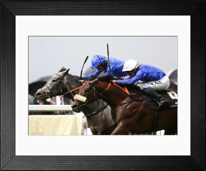 Framed Print : Royal Ascot: Ladies Day Framed Print : Royal Ascot: Ladies Day