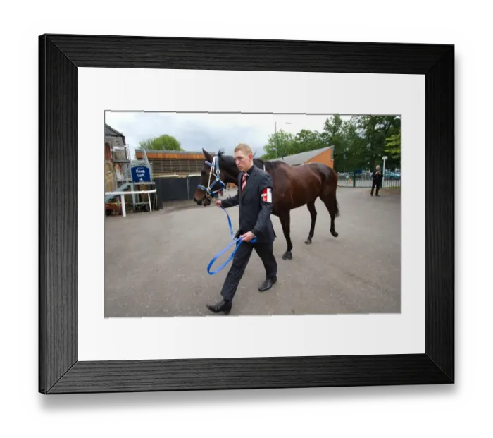 Framed Print : Black Caviar at Royal Ascot Framed Print : Black Caviar at Royal Ascot