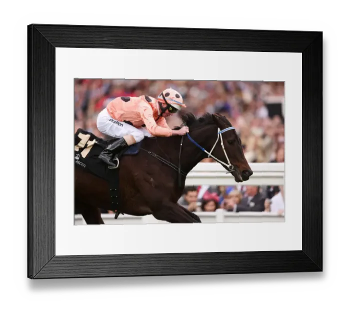 Framed Print : Black Caviar at Royal Ascot Framed Print : Black Caviar at Royal Ascot