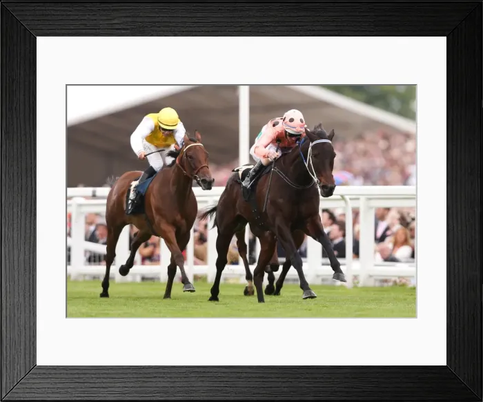 Framed Print : Black Caviar at Royal Ascot Framed Print : Black Caviar at Royal Ascot