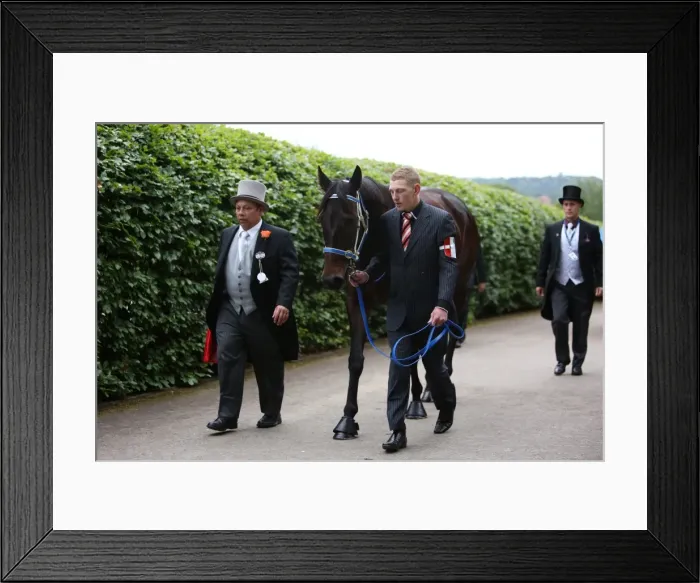 Framed Print : Black Caviar at Royal Ascot Framed Print : Black Caviar at Royal Ascot