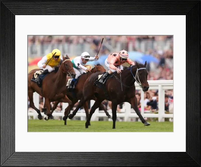 Framed Print : Black Caviar at Royal Ascot Framed Print : Black Caviar at Royal Ascot