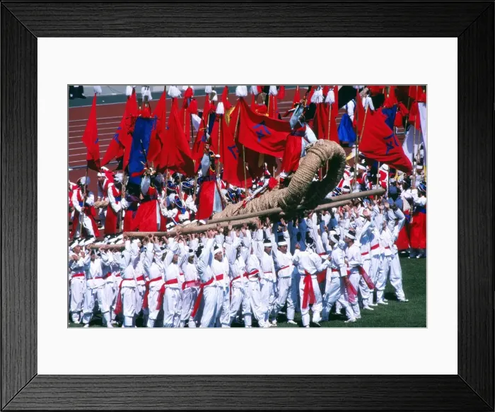 Framed Print : 1988 Seoul Olympics - Opening Ceremony Framed Print : 1988 Seoul Olympics - Opening Ceremony