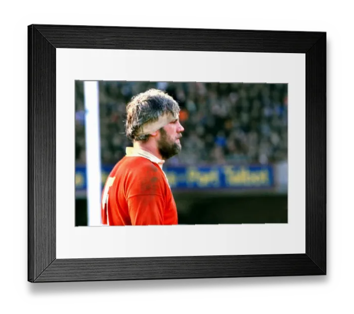Framed Print : Wales Mike Roberts - 1979 Five Nations Framed Print : Wales Mike Roberts - 1979 Five Nations