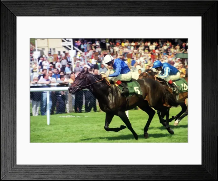 Framed Print : 1998 Juddmonte Lockinge Stakes