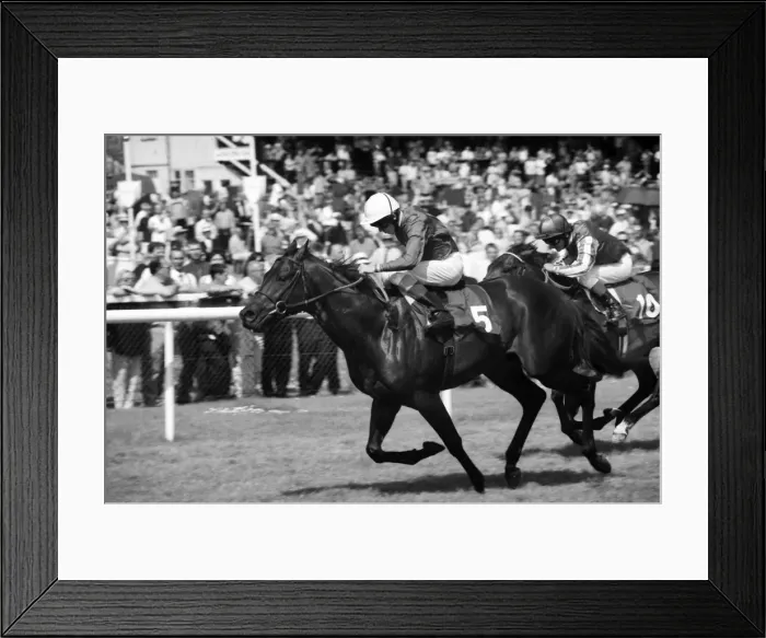 Framed Print : 1998 Juddmonte Lockinge Stakes Framed Print : 1998 Juddmonte Lockinge Stakes