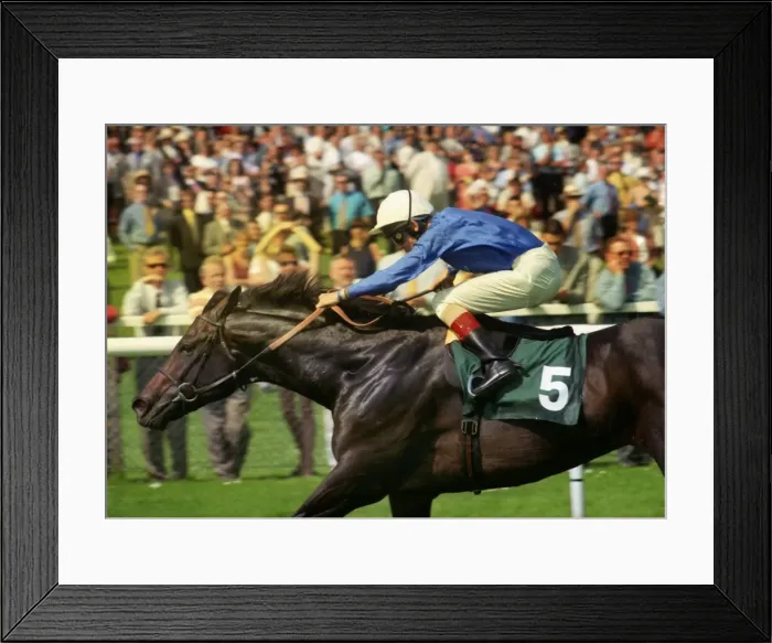 Framed Print : 1998 Juddmonte Lockinge Stakes