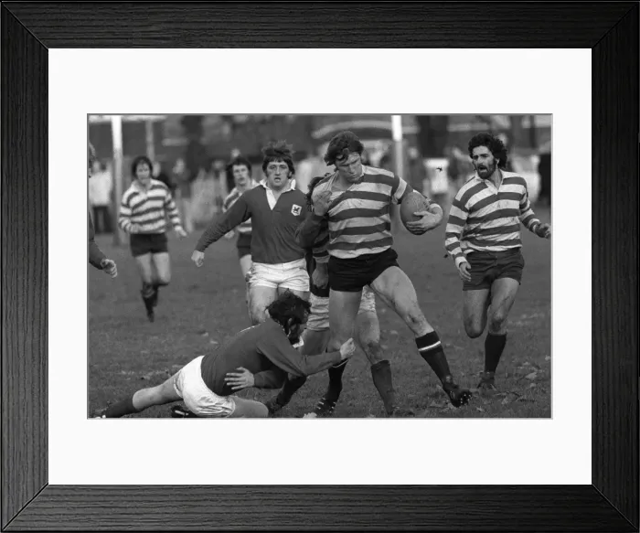 Framed Print : Andy Ripley - Rosslyn Park Framed Print : Andy Ripley - Rosslyn Park