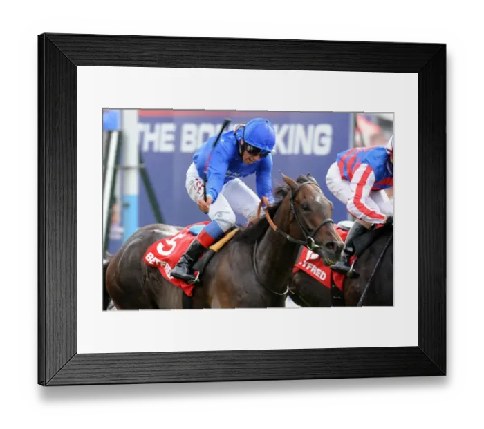Framed Print : Yorkshire Ebor Festival - The Betfred Ebor Framed Print : Yorkshire Ebor Festival - The Betfred Ebor