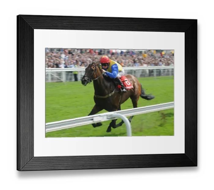 Framed Print : Yorkshire Ebor Festival - The Betfred City of York Stakes Framed Print : Yorkshire Ebor Festival - The Betfred City of York Stakes