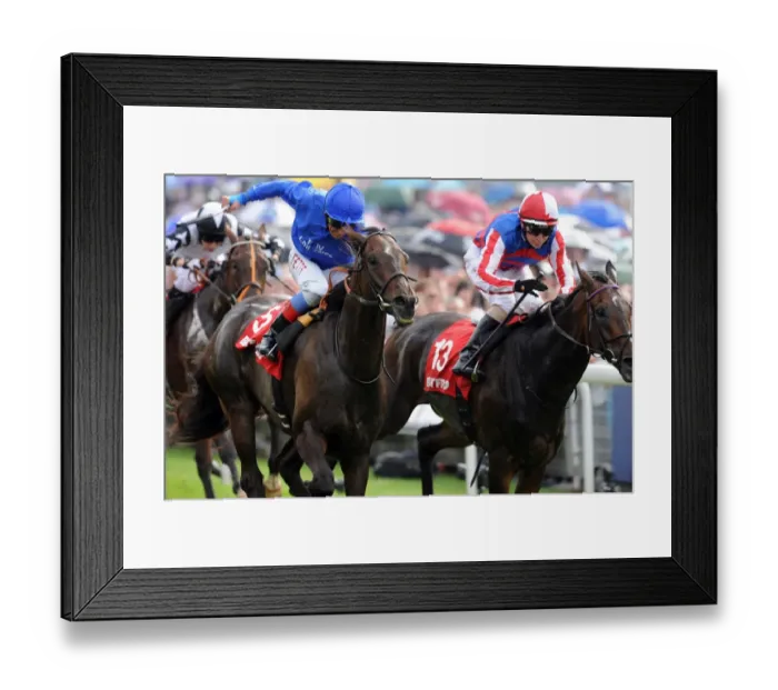 Framed Print : Yorkshire Ebor Festival - The Betfred Ebor Framed Print : Yorkshire Ebor Festival - The Betfred Ebor
