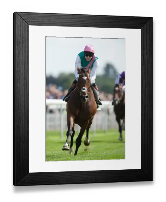 Framed Print : Frankel at the 2012 Ebor Festival Framed Print : Frankel at the 2012 Ebor Festival