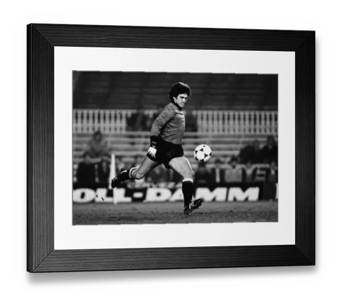 Framed Print : Luis Arconada - Spain