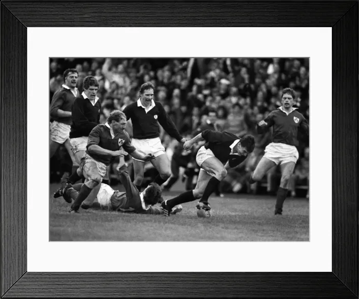 Framed Print : Scotlands Iwan Tukalo scores against Ireland - 1987 Five Nations Framed Print : Scotlands Iwan Tukalo scores against Ireland - 1987 Five Nations