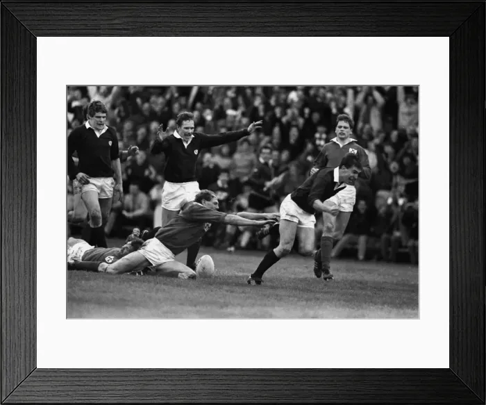 Framed Print : Scotlands Iwan Tukalo scores against Ireland - 1987 Five Nations Framed Print : Scotlands Iwan Tukalo scores against Ireland - 1987 Five Nations