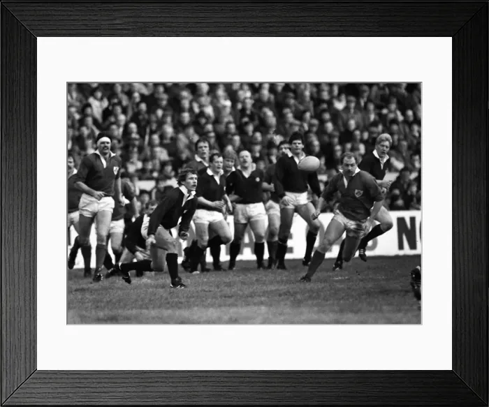 Framed Print : Scotlands John Rutherford gets the ball away - 1985 Five Nations