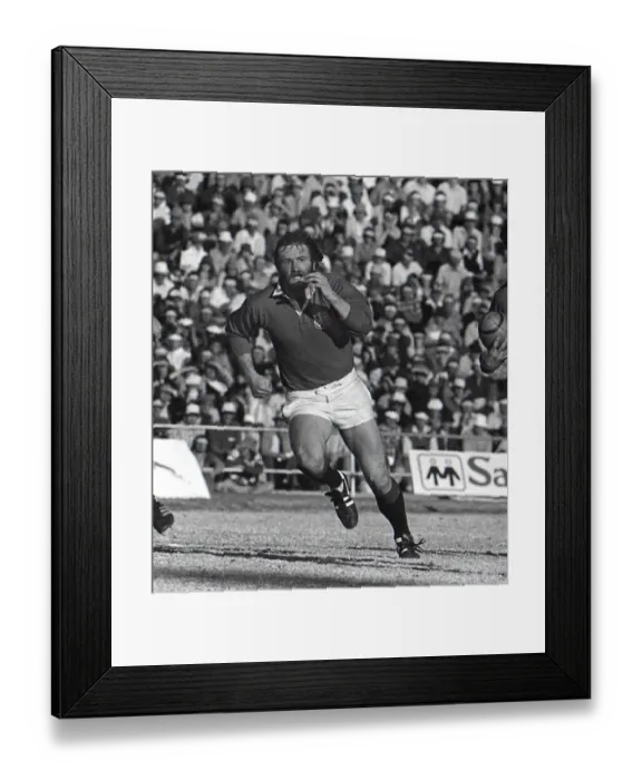 Framed Print : Ray Gravell - 1980 British Lions Tour to South Africa Framed Print : Ray Gravell - 1980 British Lions Tour to South Africa