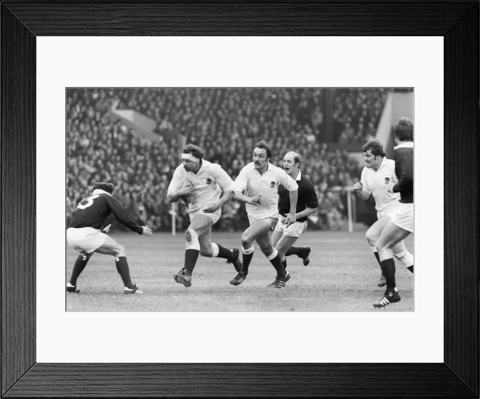 Framed Print : England captain Bill Beaumont on the charge against Scotland - 1980 Five Nations Framed Print : England captain Bill Beaumont on the charge against Scotland - 1980 Five Nations