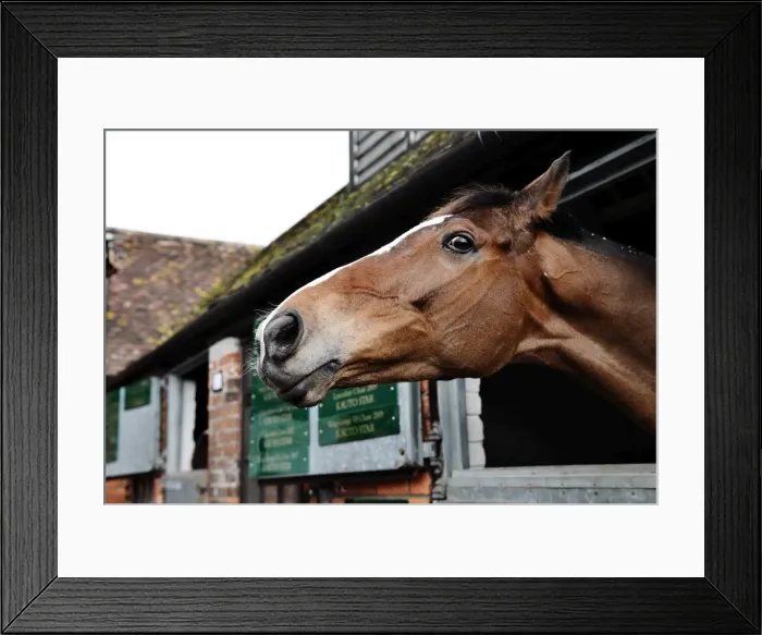 Framed Print : Kauto Star Framed Print : Kauto Star