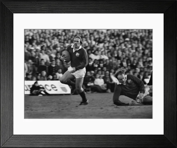 Framed Print : Peter Squires scores for the British Lions in 1977 but pulls a hamstring Framed Print : Peter Squires scores for the British Lions in 1977 but pulls a hamstring