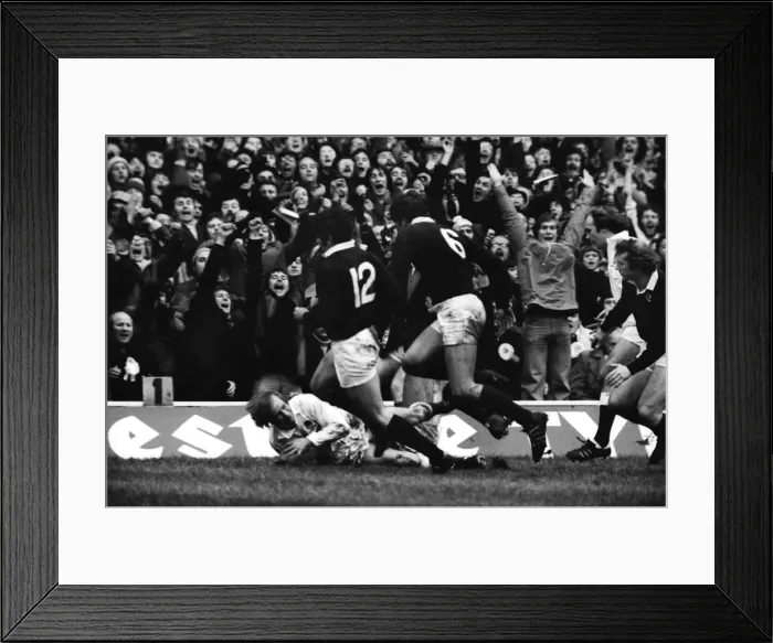 Framed Print : Englands Malcolm Young scores against Scotland - 1977 Five Nations Framed Print : Englands Malcolm Young scores against Scotland - 1977 Five Nations