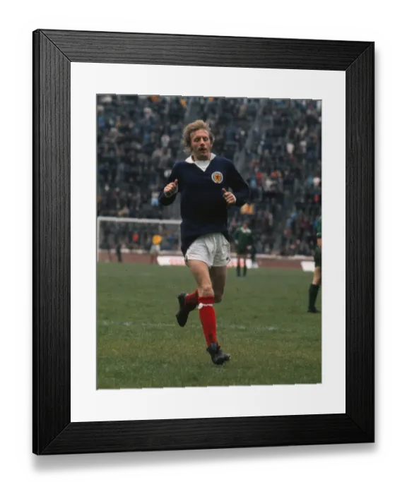 Framed Print : Scotlands Denis Law - 1974 British Home Championship Framed Print : Scotlands Denis Law - 1974 British Home Championship