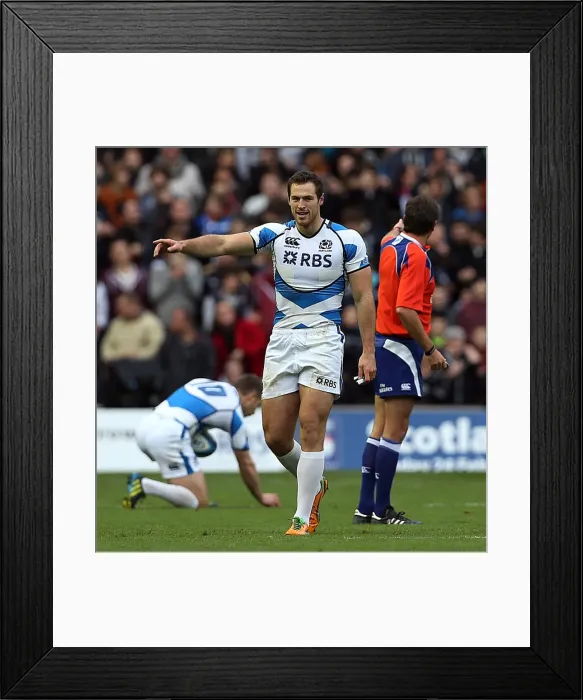 Framed Print : Scotland vs New Zealand
