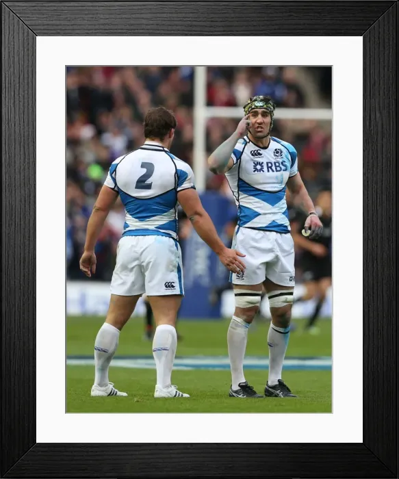 Framed Print : Scotland vs New Zealand Framed Print : Scotland vs New Zealand
